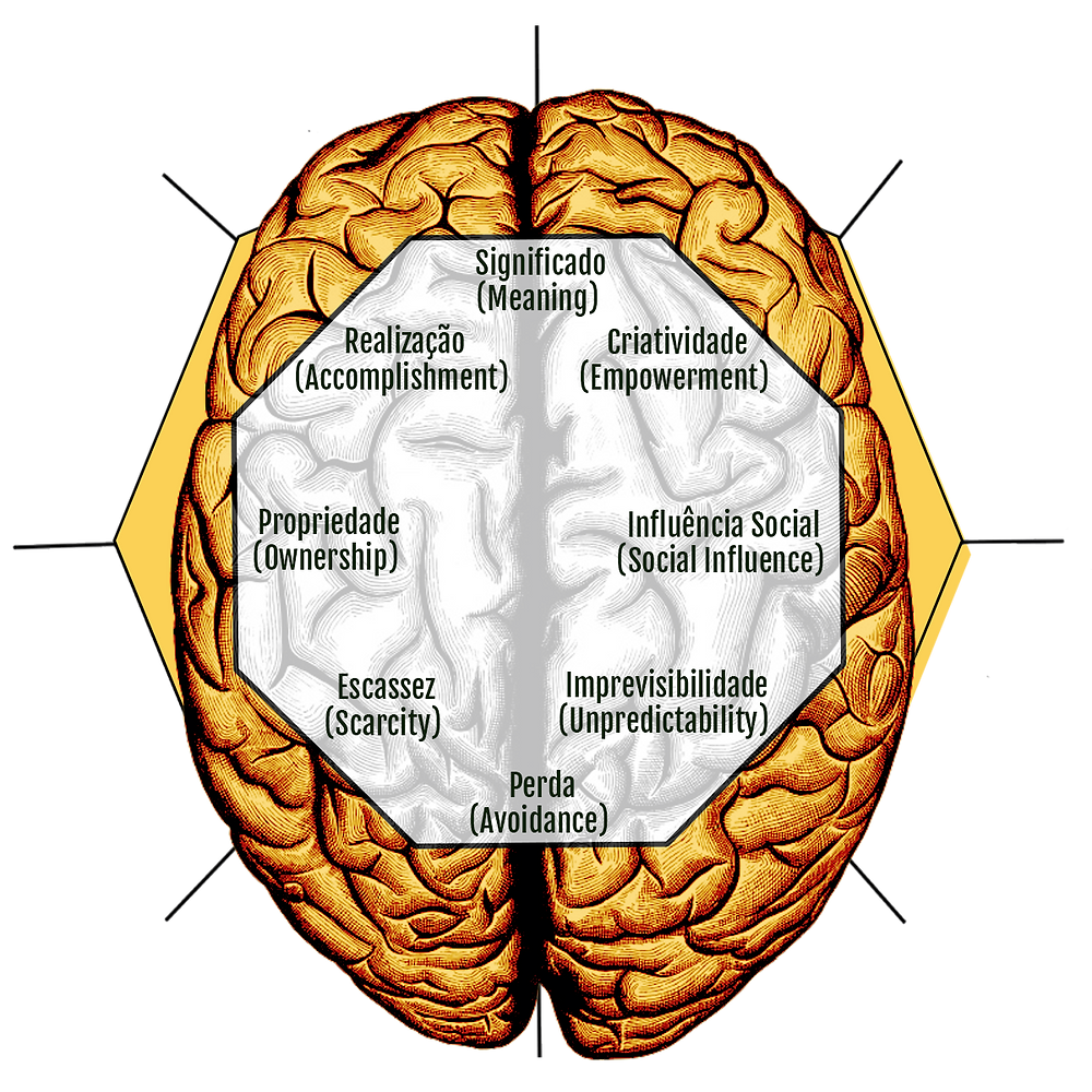 Left e Right Brain Drives